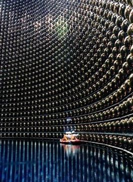 detektor neutrin