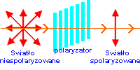 polaryzacja